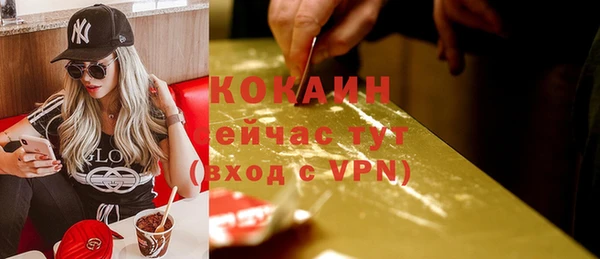 гидра Инсар