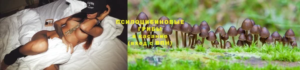 мяу мяу кристалл Инта