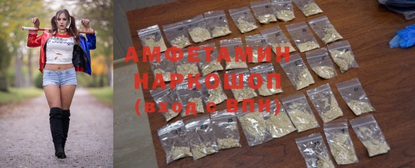 шишки Каменка