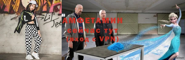 гидра Инсар